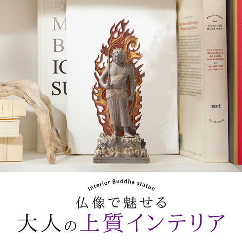 イスム TanaCOCORO 不動明王立像.|s1